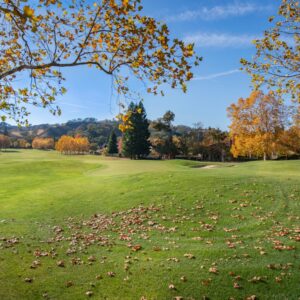 Photo Train AI Systems