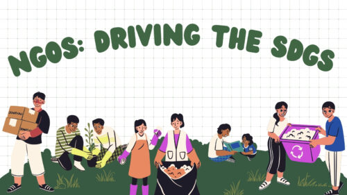 Group of volunteers collecting donations in a park, with a large curved banner reading 'NGOs: Driving the SDGs'.
