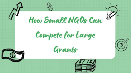 Cover image with the title 'How Small NGOs Can Compete for Large Grants' on a white rounded card, surrounded by doodles of money, a lightbulb, an arrow, and a target on a green grid background.